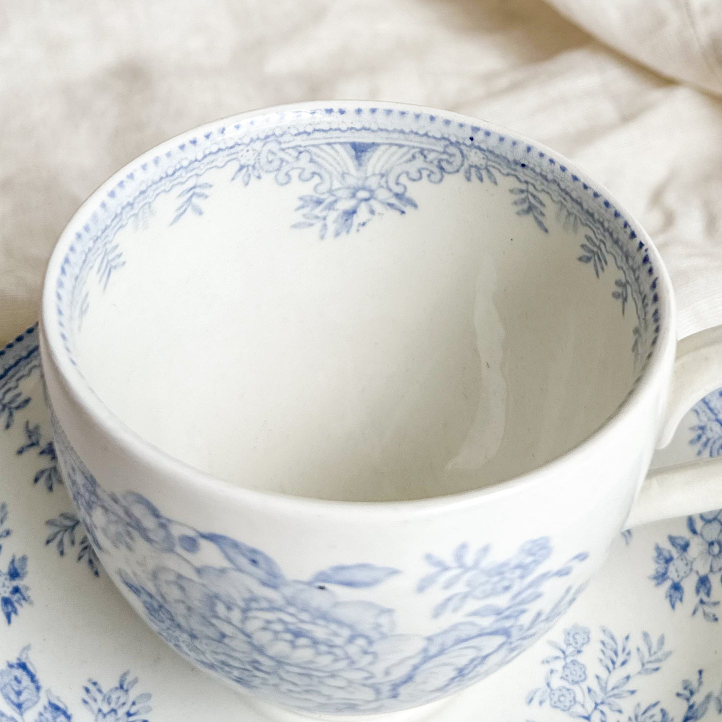 Asiatic Pheasants Teacup and Saucer