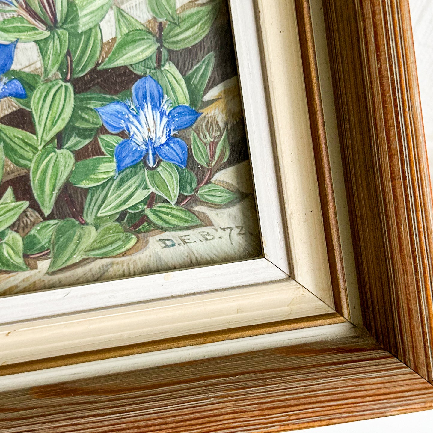 Set of 3 Watercolour Paintings