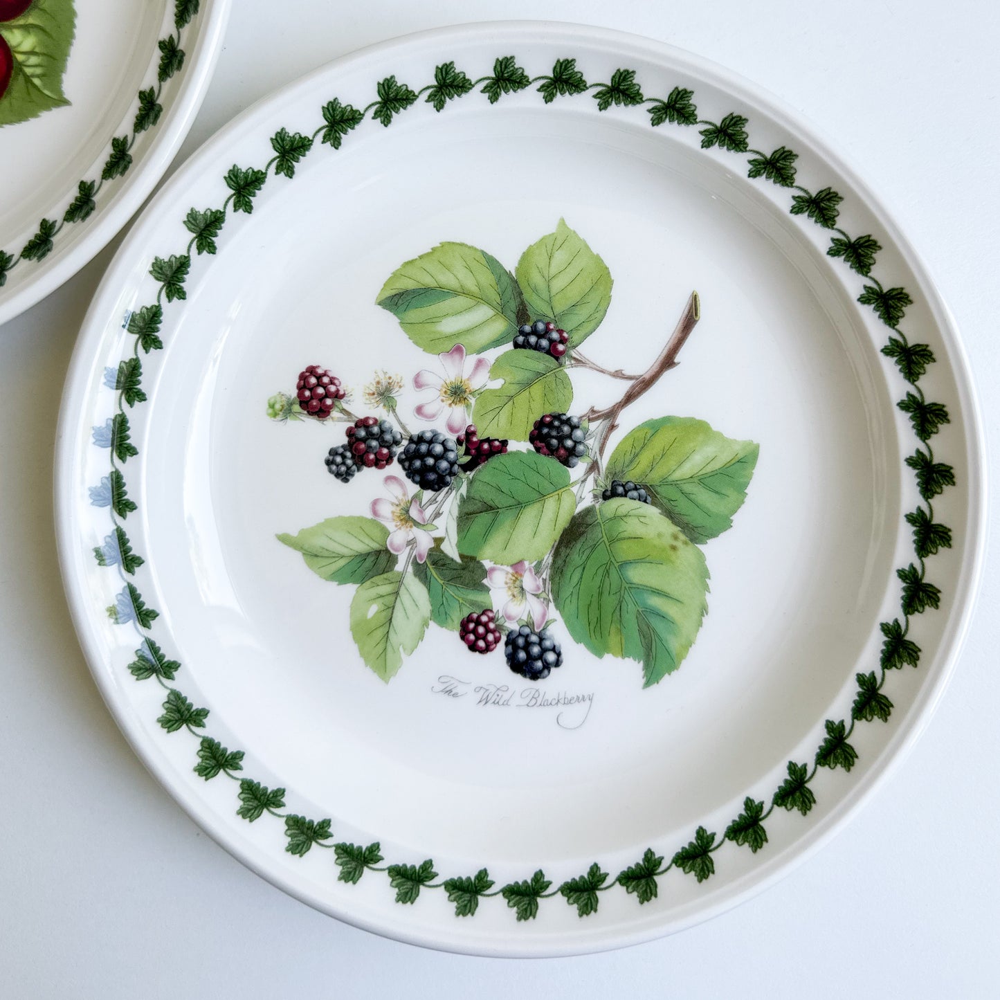 Pair of Portmeirion Fruit Plates