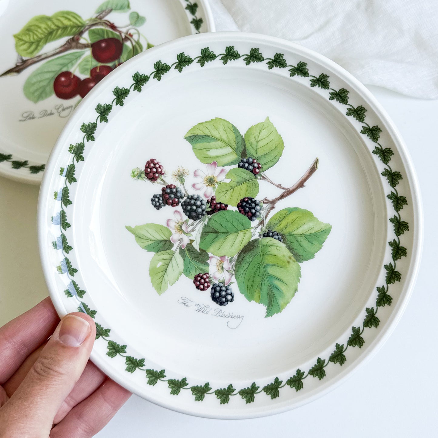 Pair of Portmeirion Fruit Plates