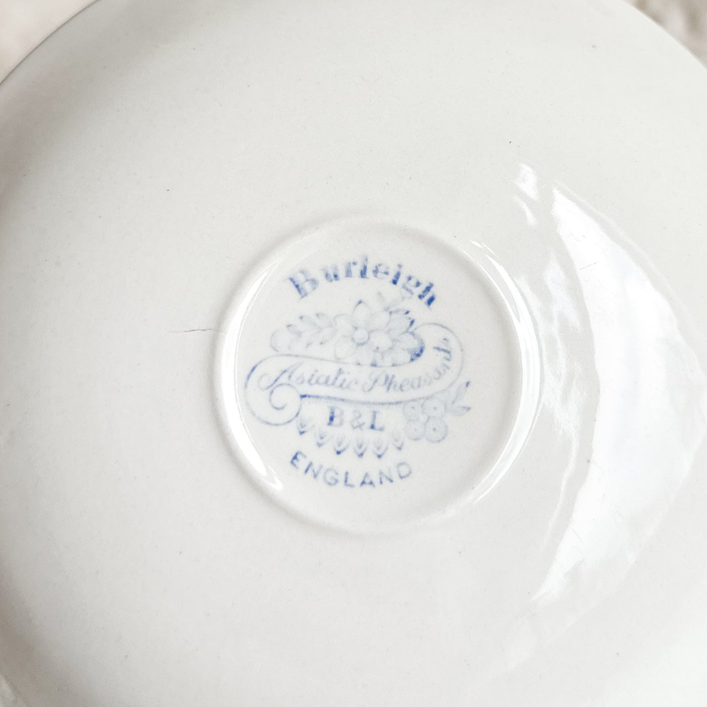Asiatic Pheasants Teacup and Saucer