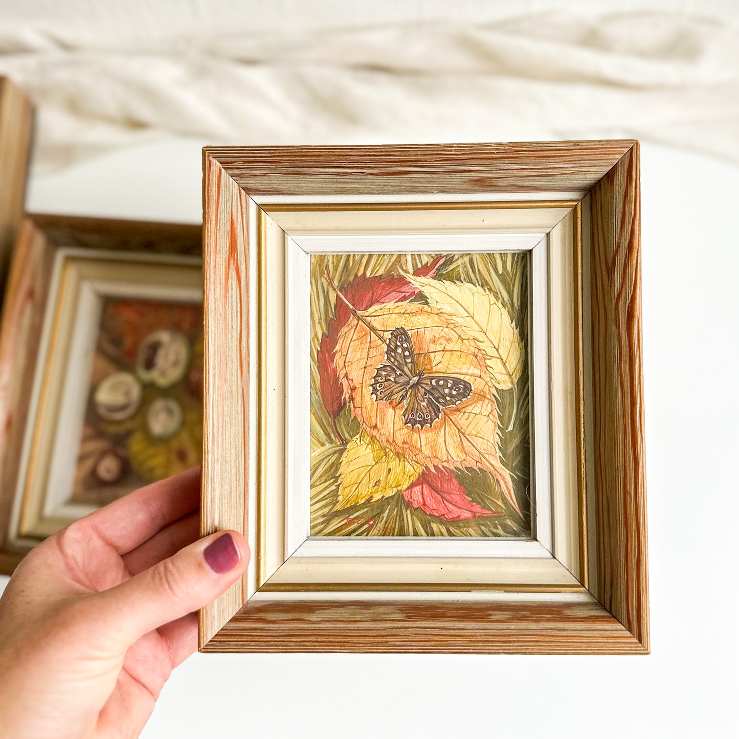 Set of 3 Watercolour Paintings