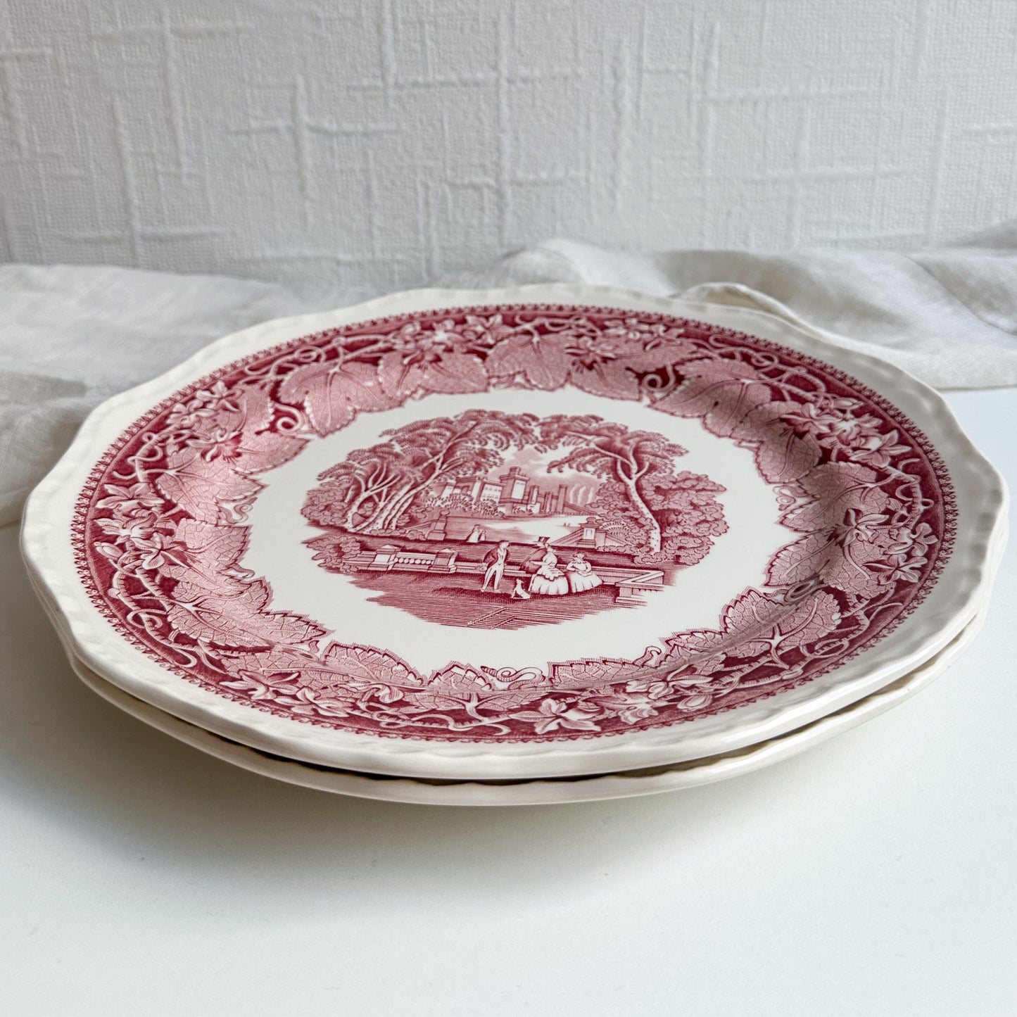 Pair of Mason’s VISTA Dinner Plates
