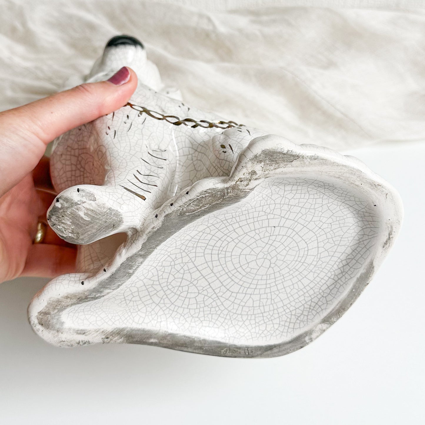 Single Staffordshire Spaniel