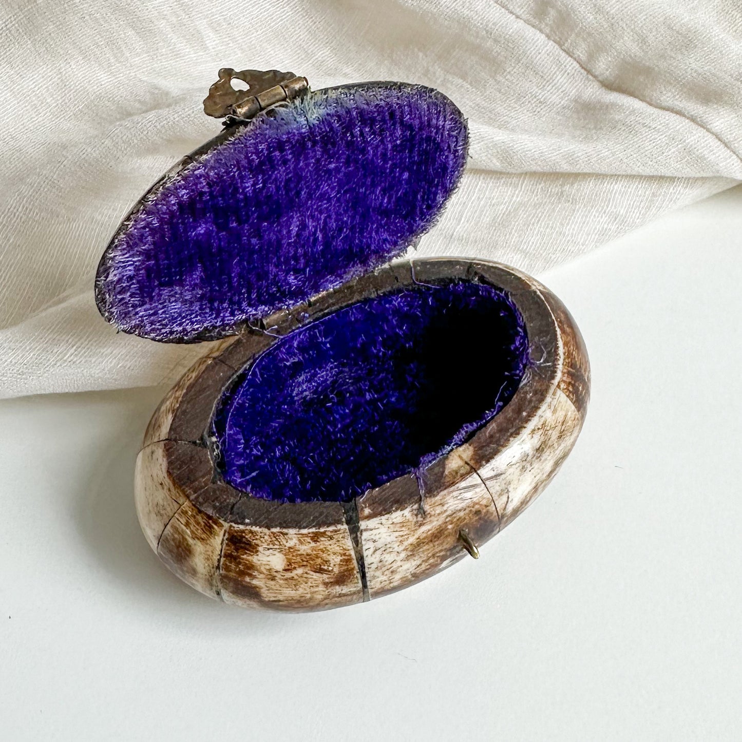 Horn Bone and Brass Small Box