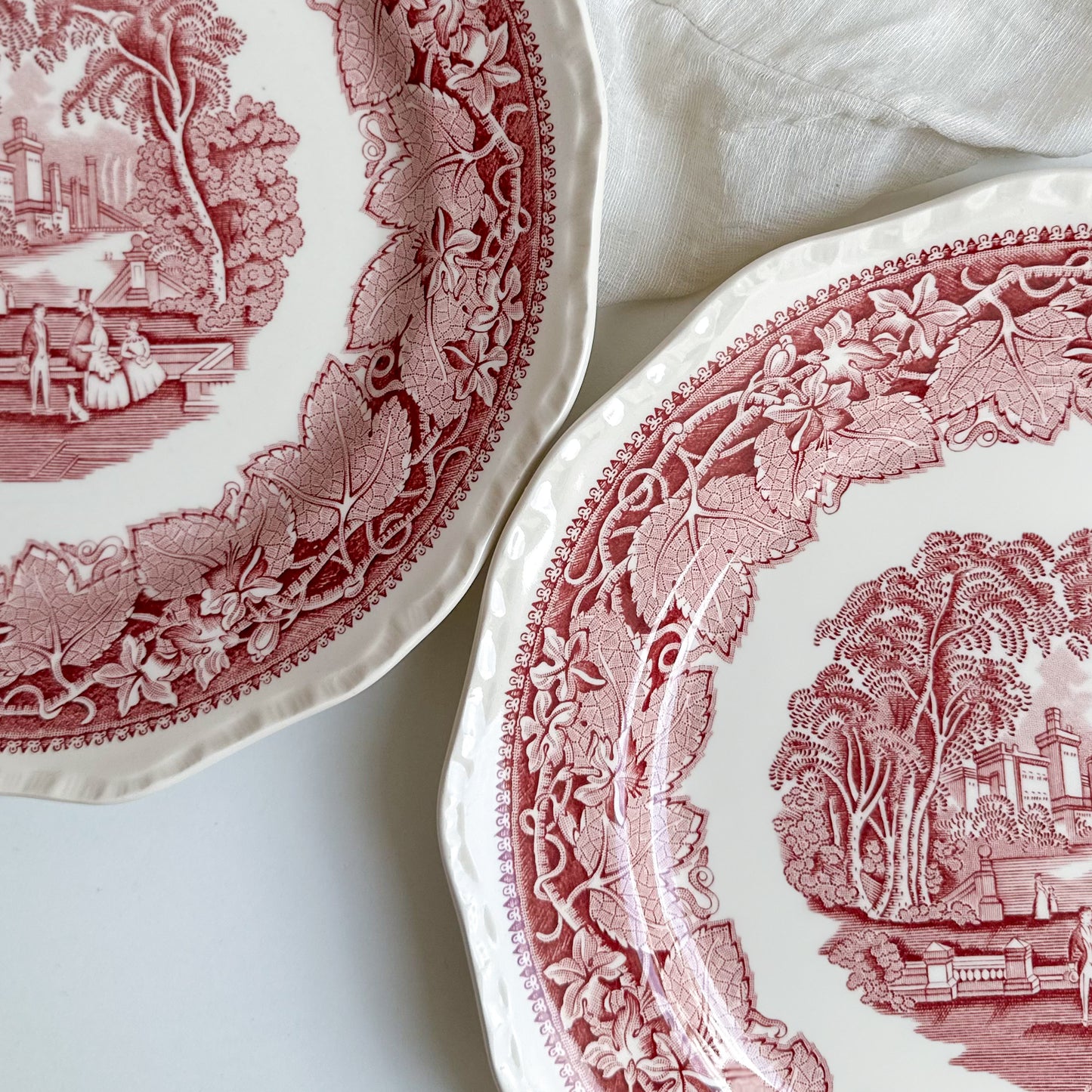 Pair of Mason’s VISTA Dinner Plates