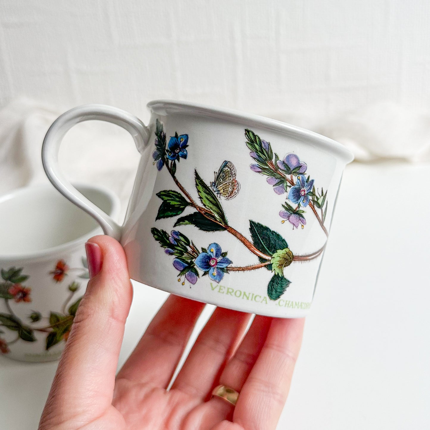 Pair of Portmeirion Drum Cups