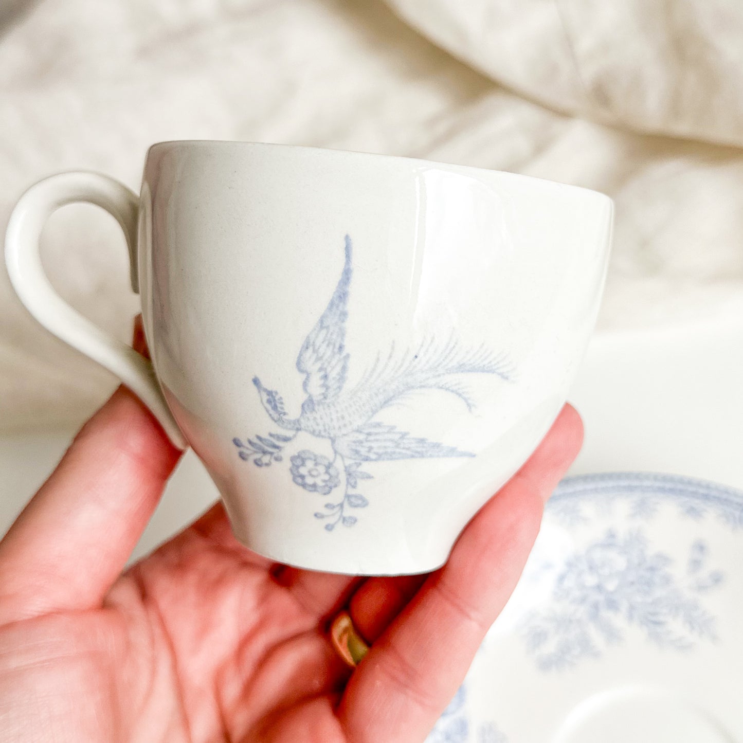 Asiatic Pheasants Teacup and Saucer