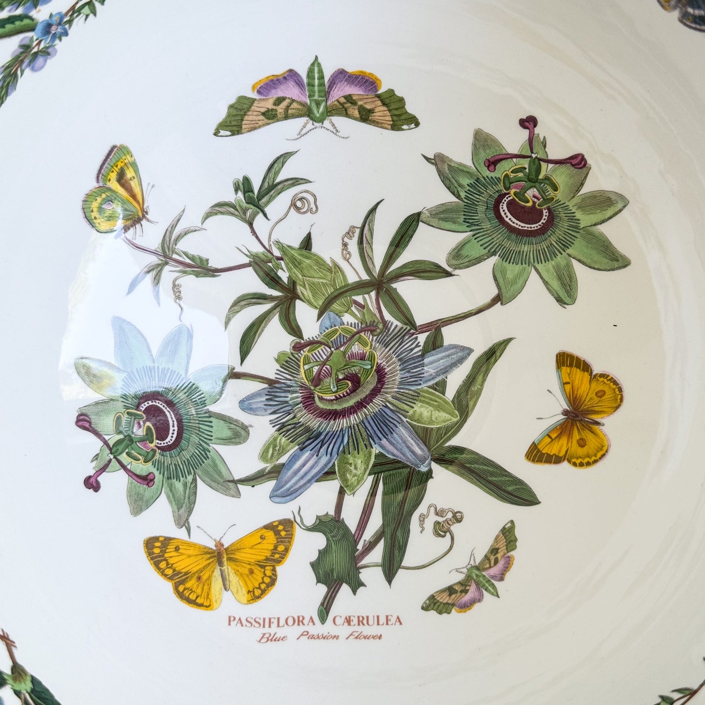 Large Portmeirion Bowl