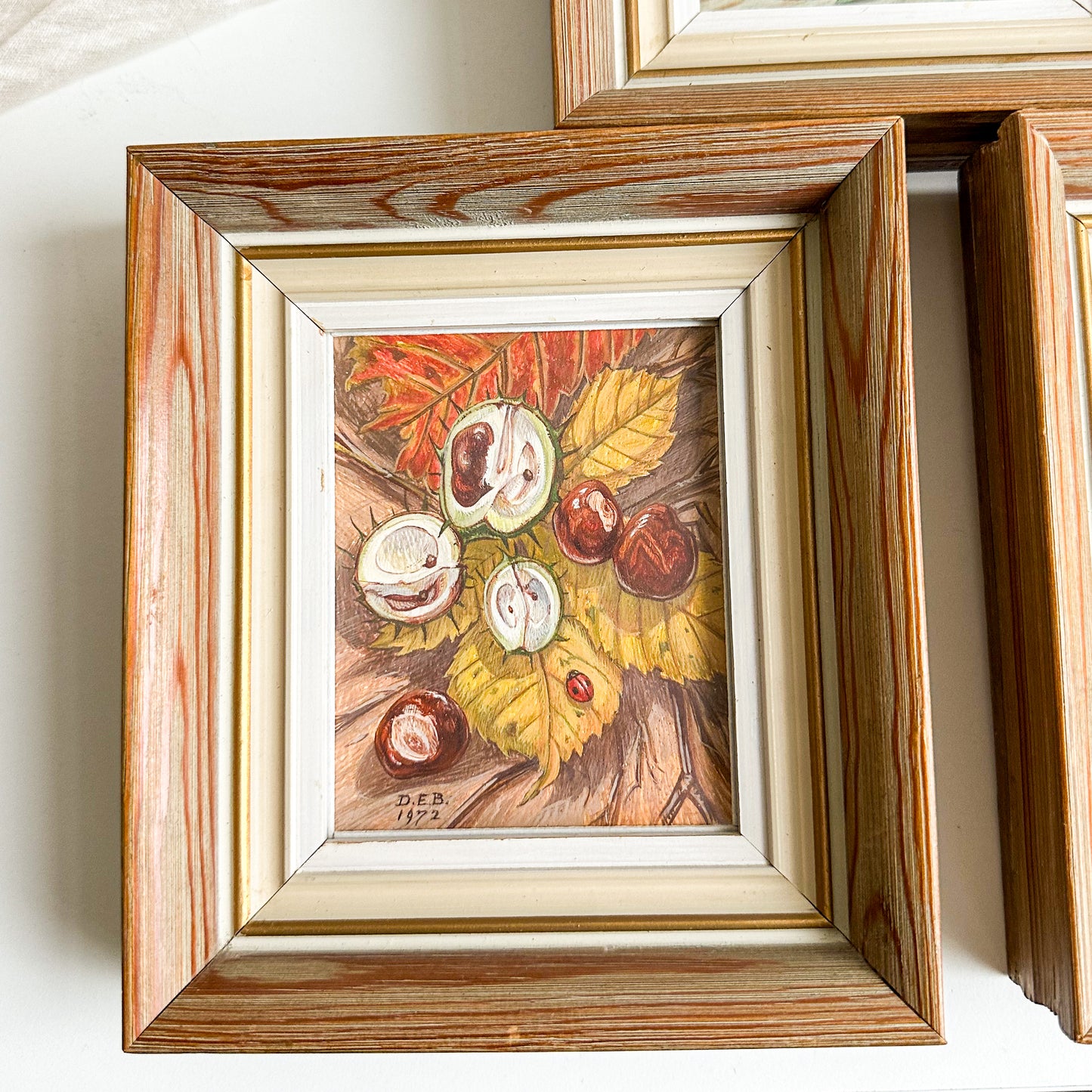 Set of 3 Watercolour Paintings