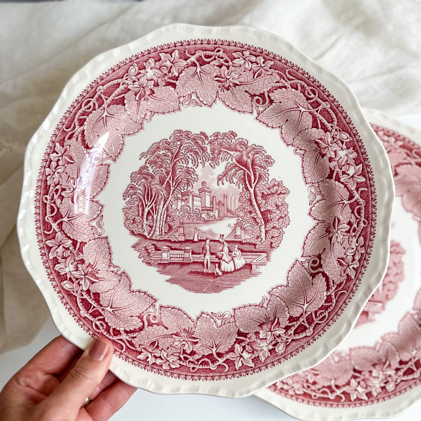 Pair of Mason’s VISTA Dinner Plates