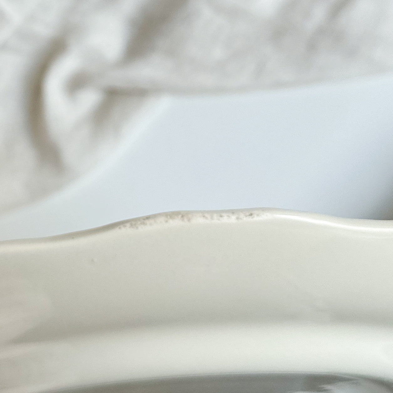 Pair of Mason’s VISTA Dinner Plates