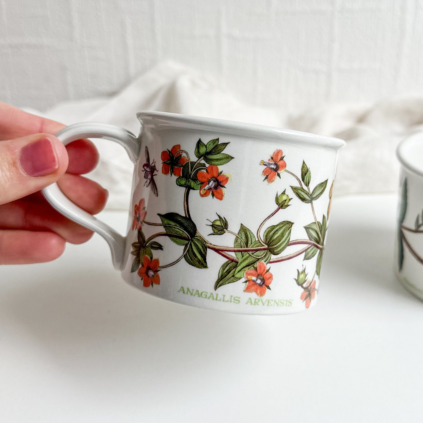 Pair of Portmeirion Drum Cups