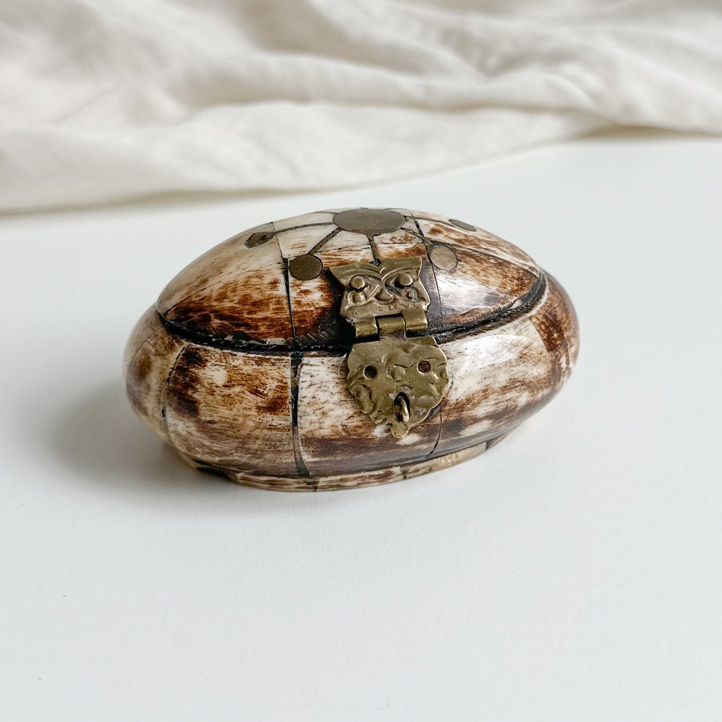 Horn Bone and Brass Small Box