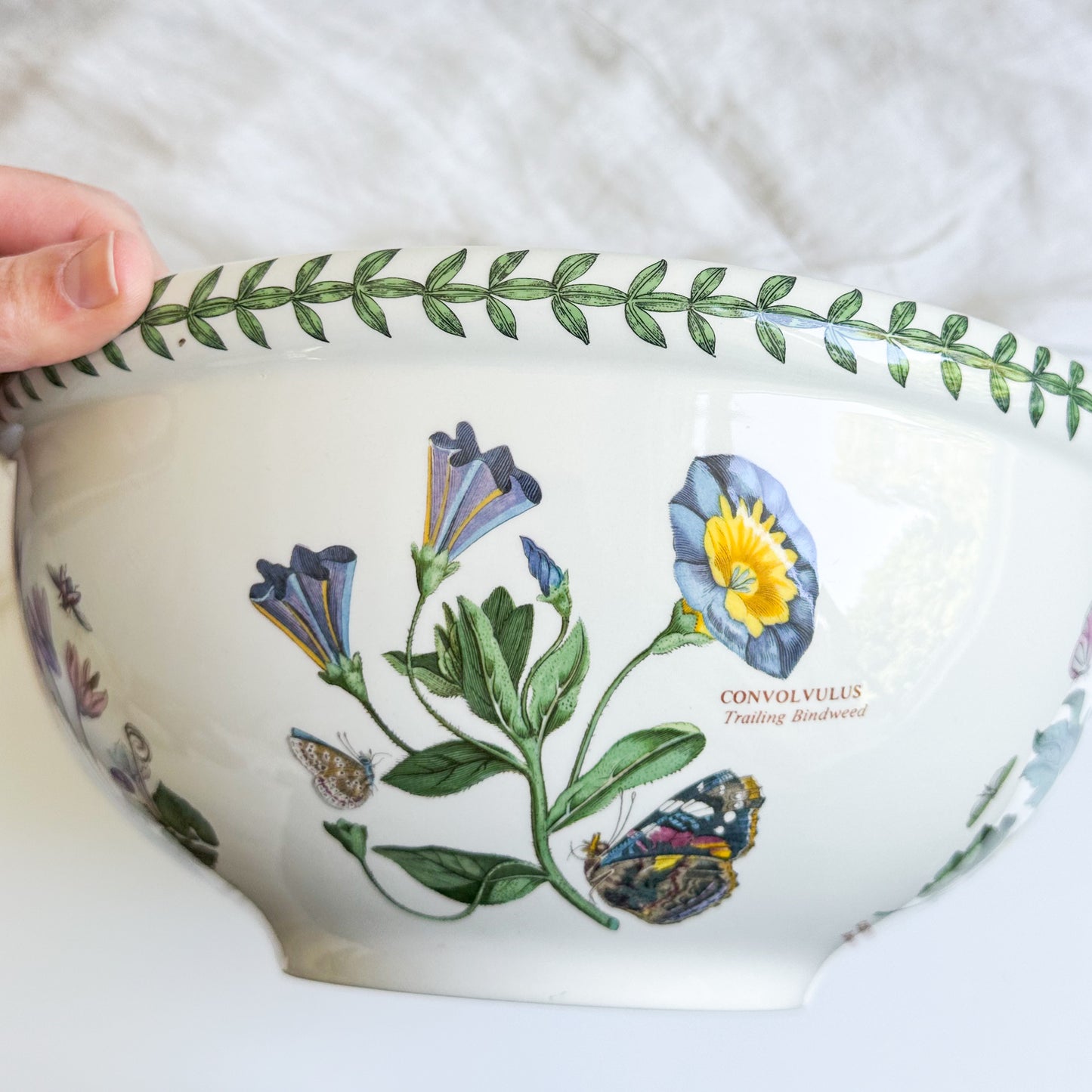 Large Portmeirion Bowl
