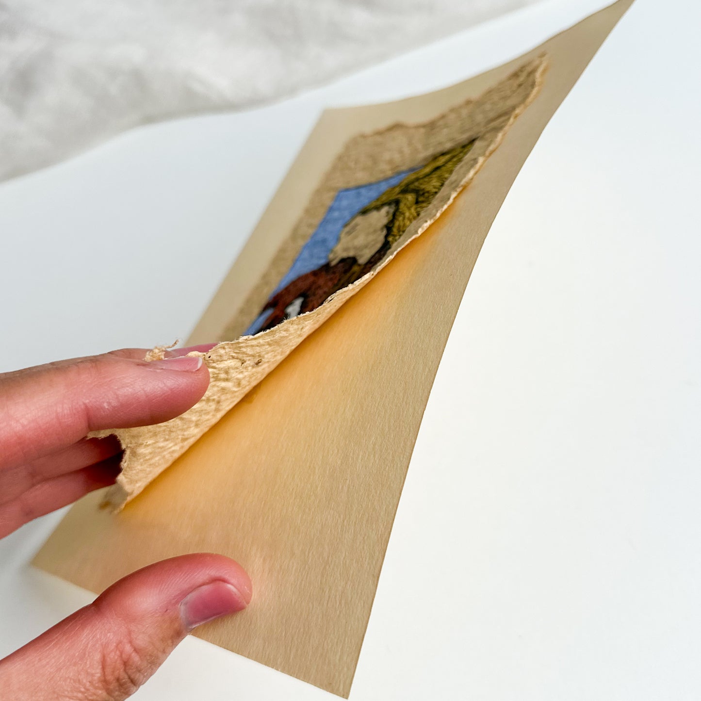 Original ‘Girl and Duck’ Illustration