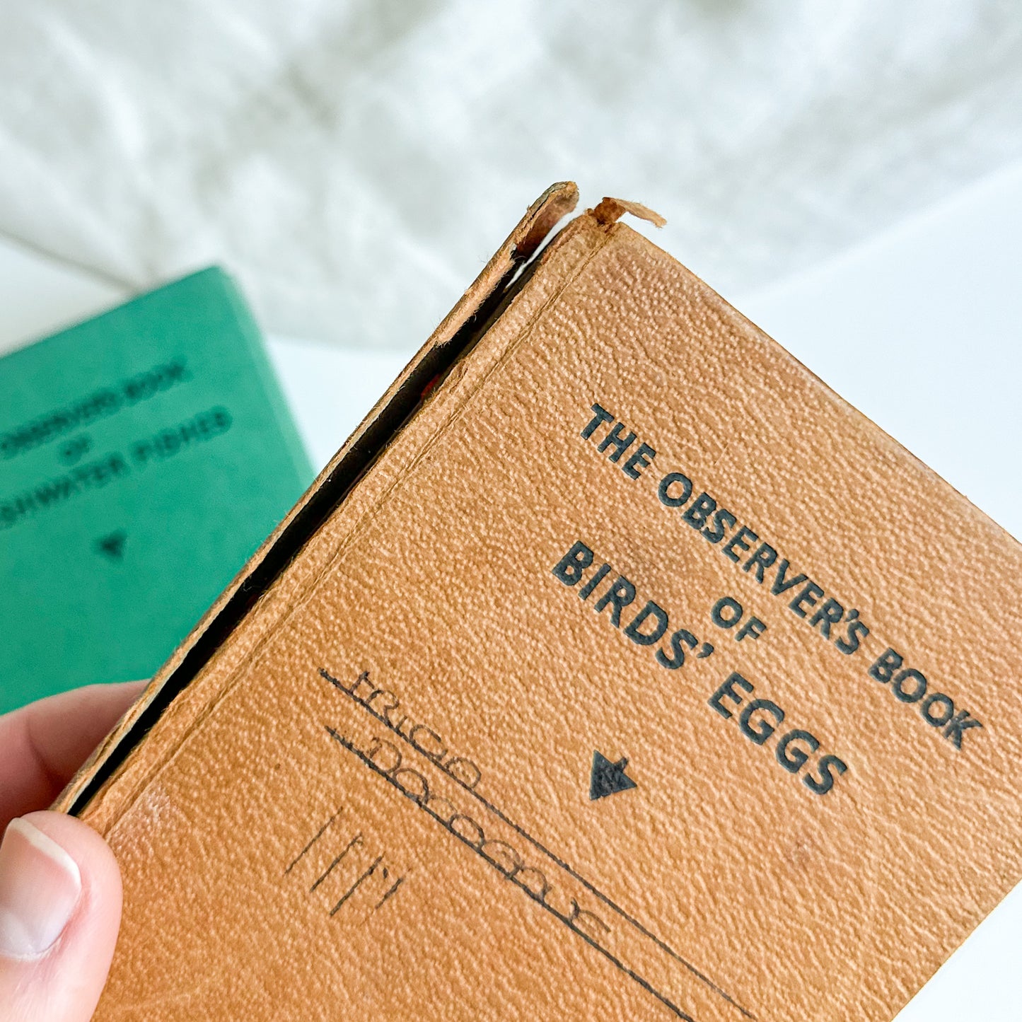 Set of 3 Observer’s Books