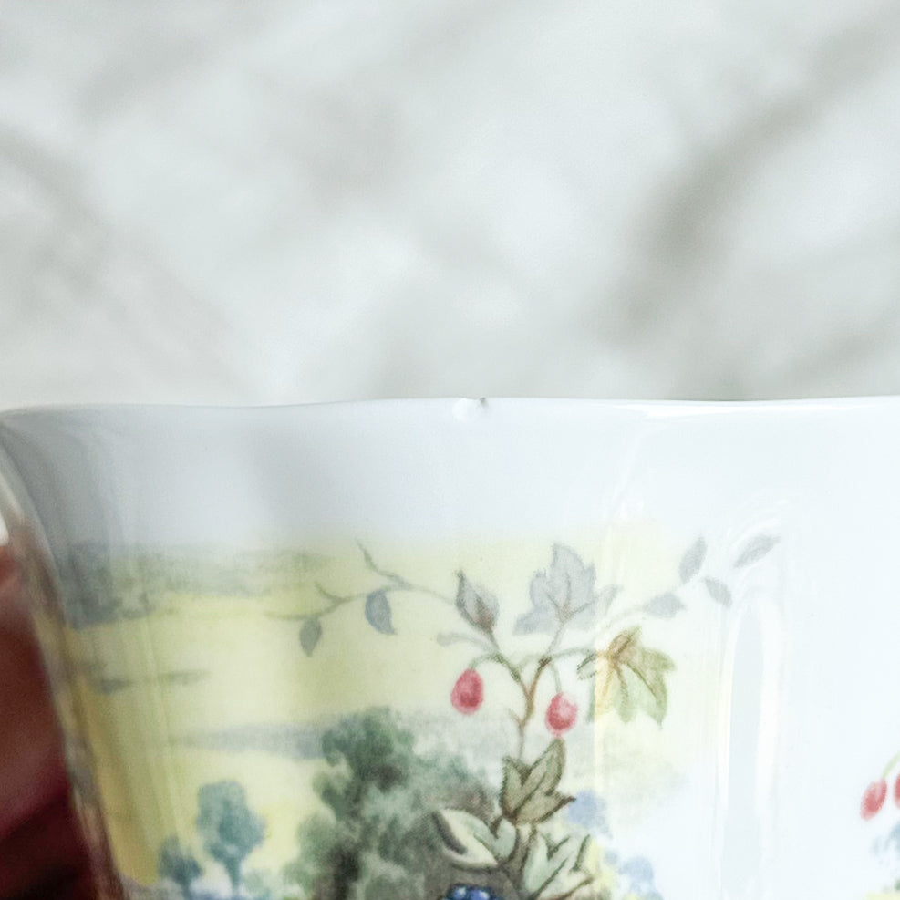 Royal Albert ‘Autumn’ Cup and Saucer