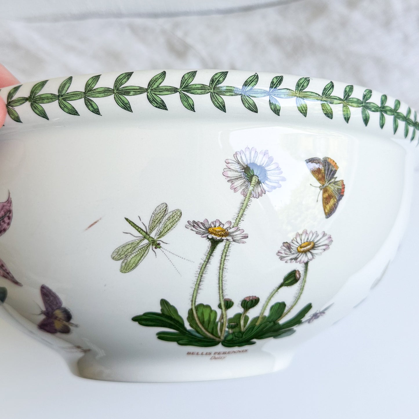 Large Portmeirion Bowl