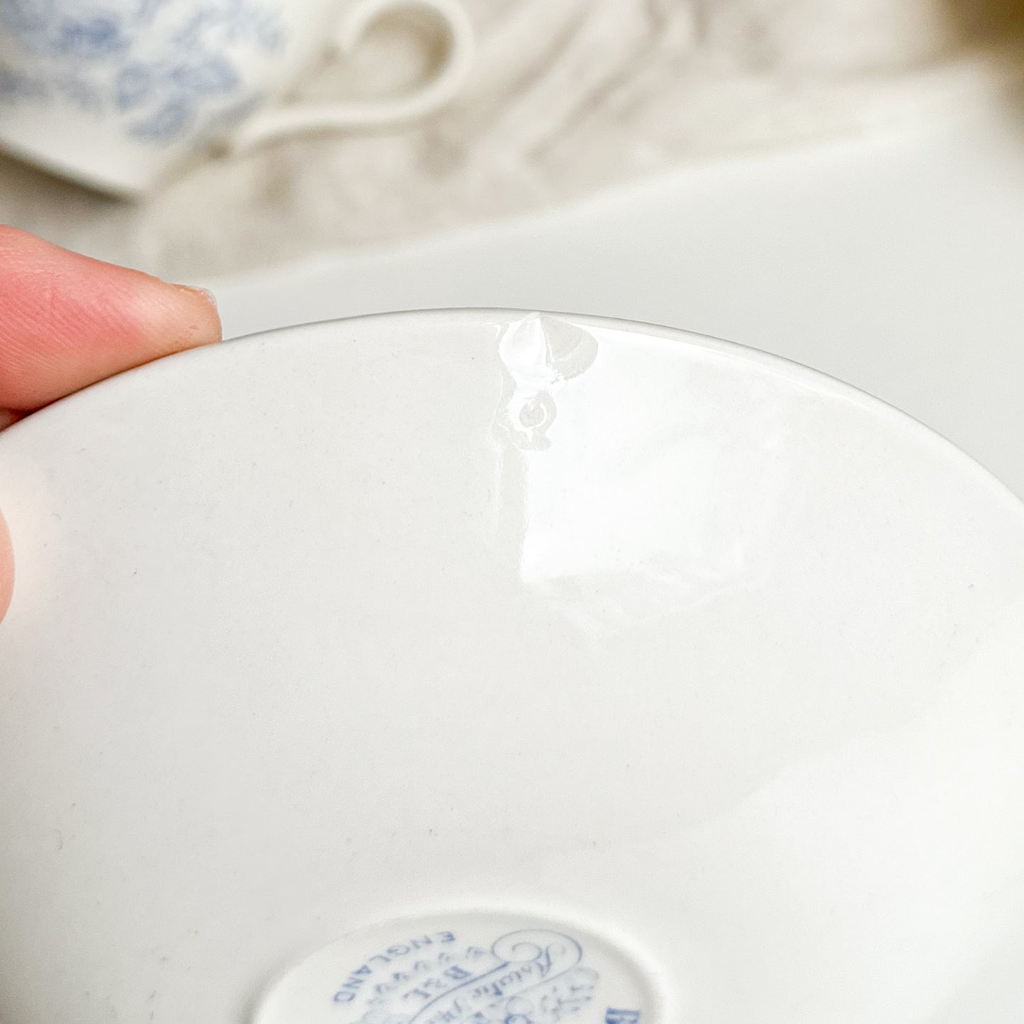 Asiatic Pheasants Teacup and Saucer