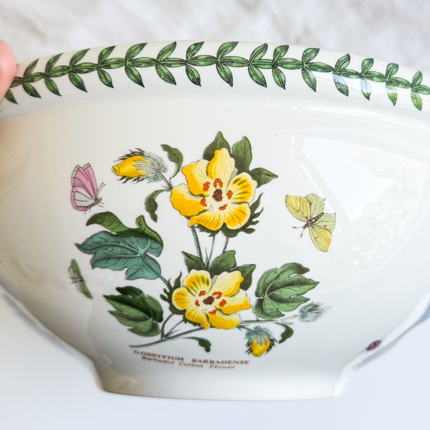 Large Portmeirion Bowl