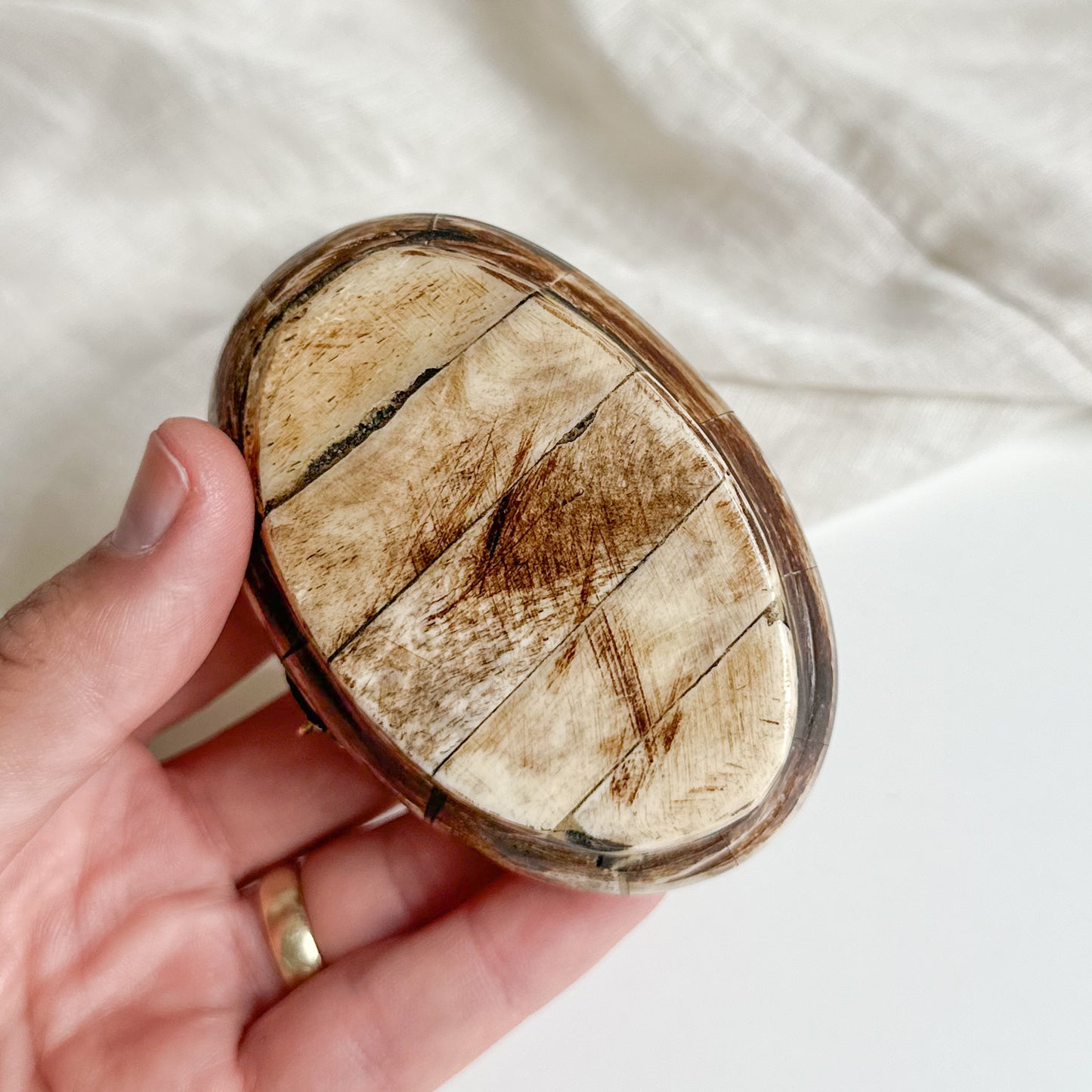 Horn Bone and Brass Small Box