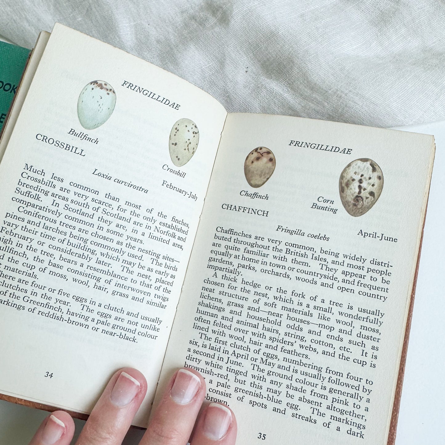 Set of 3 Observer’s Books