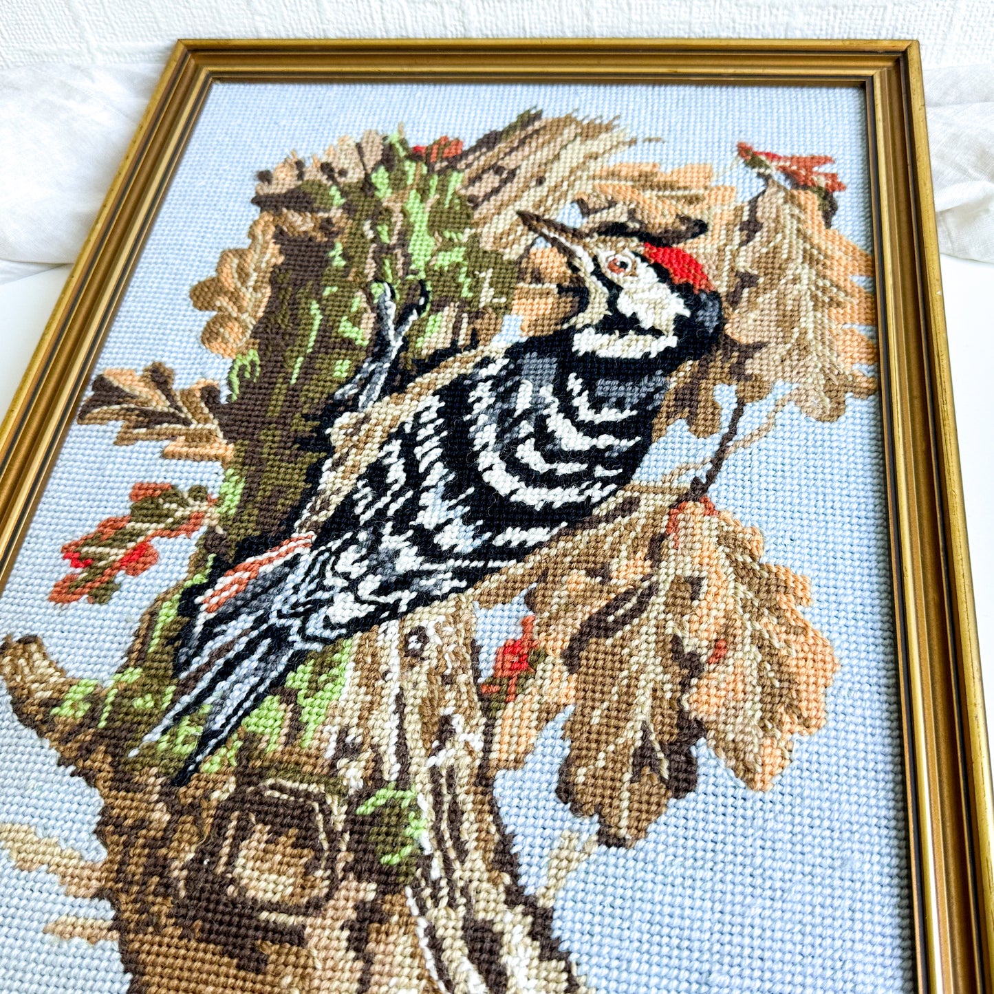 Framed Woodpecker Needlepoint