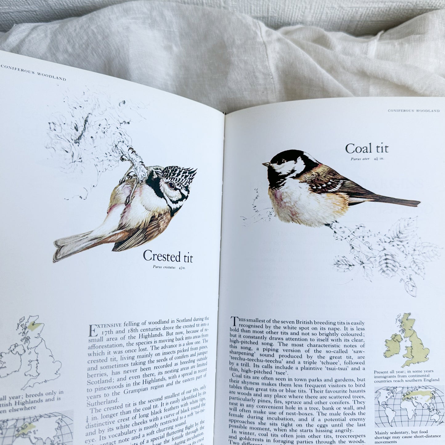 Book of British Birds