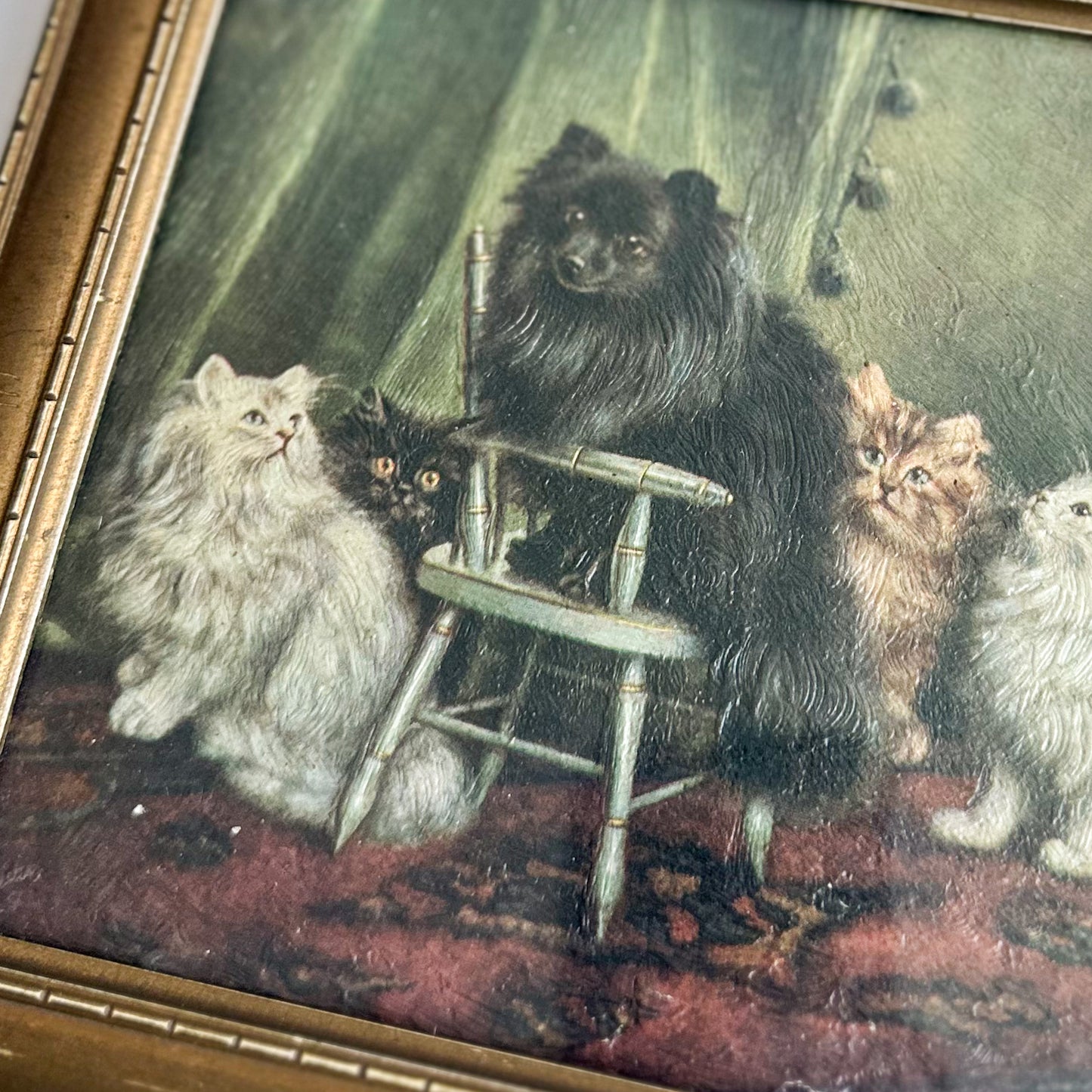 Antique Cat Print