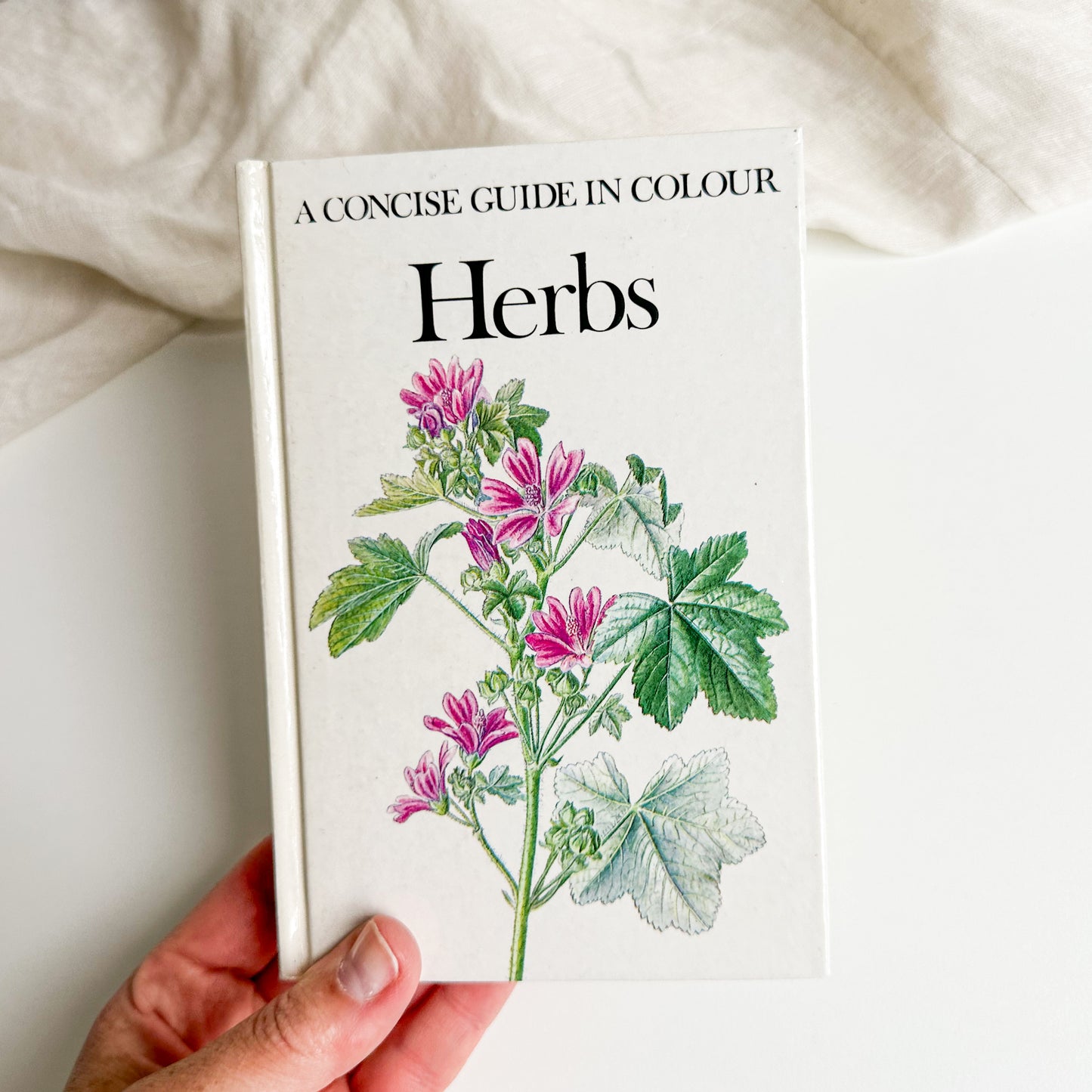 Illustrated Herbs Guide