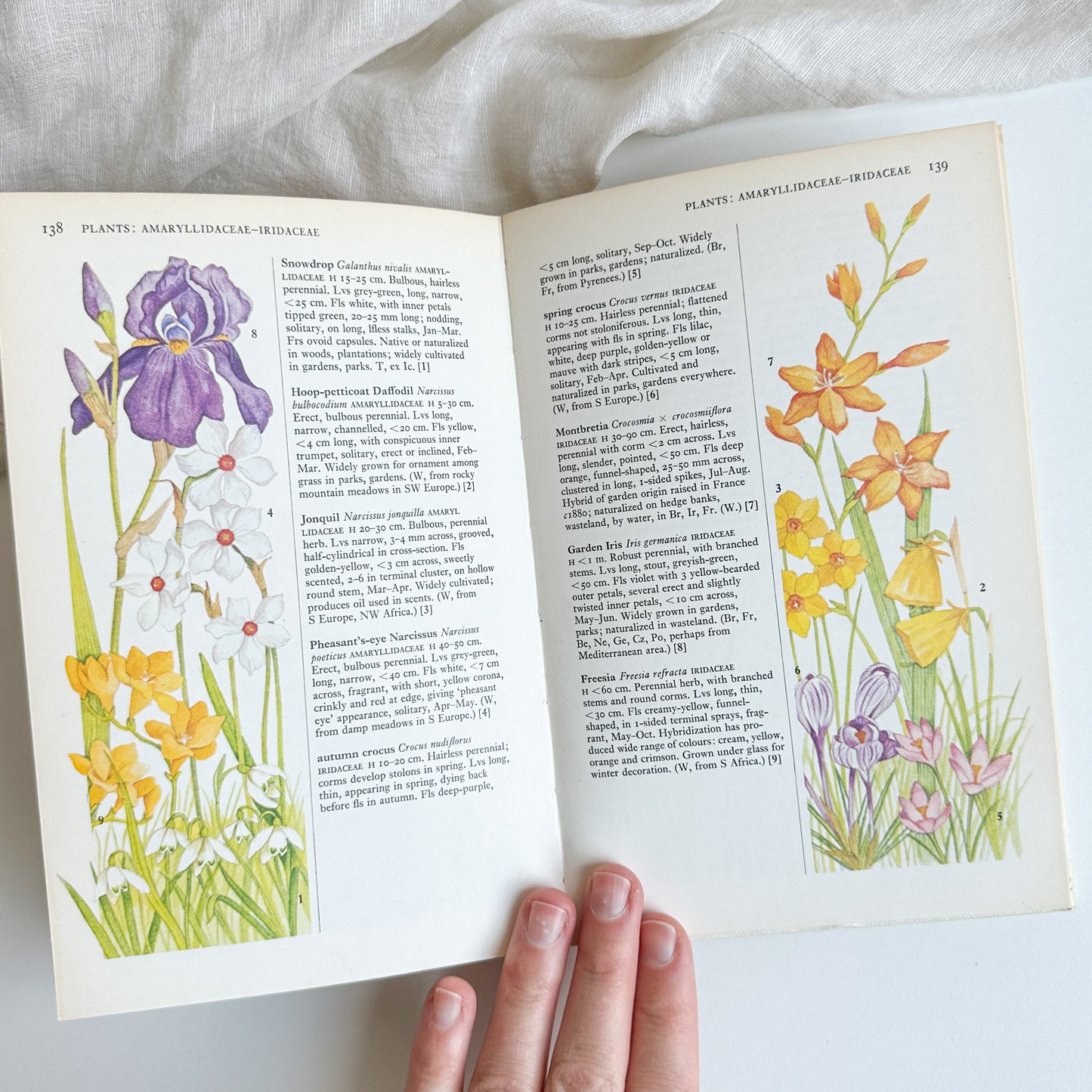 Towns and Gardens - Illustrated Book