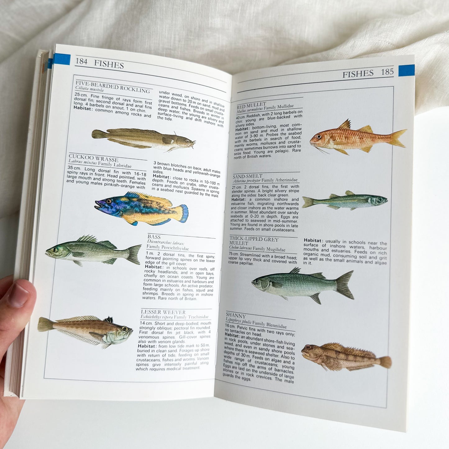 Field Guide to the Wildlife