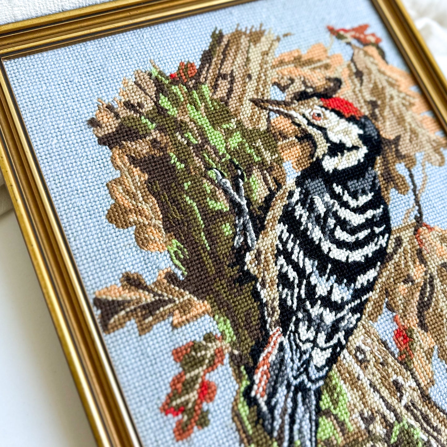 Framed Woodpecker Needlepoint