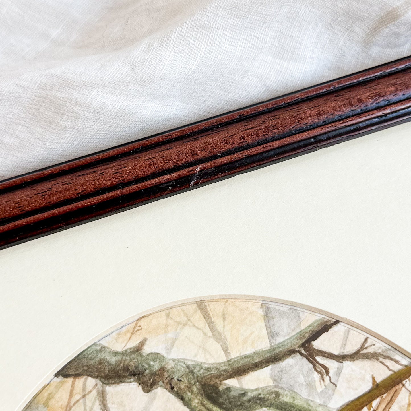 Framed Blue Tit Watercolour