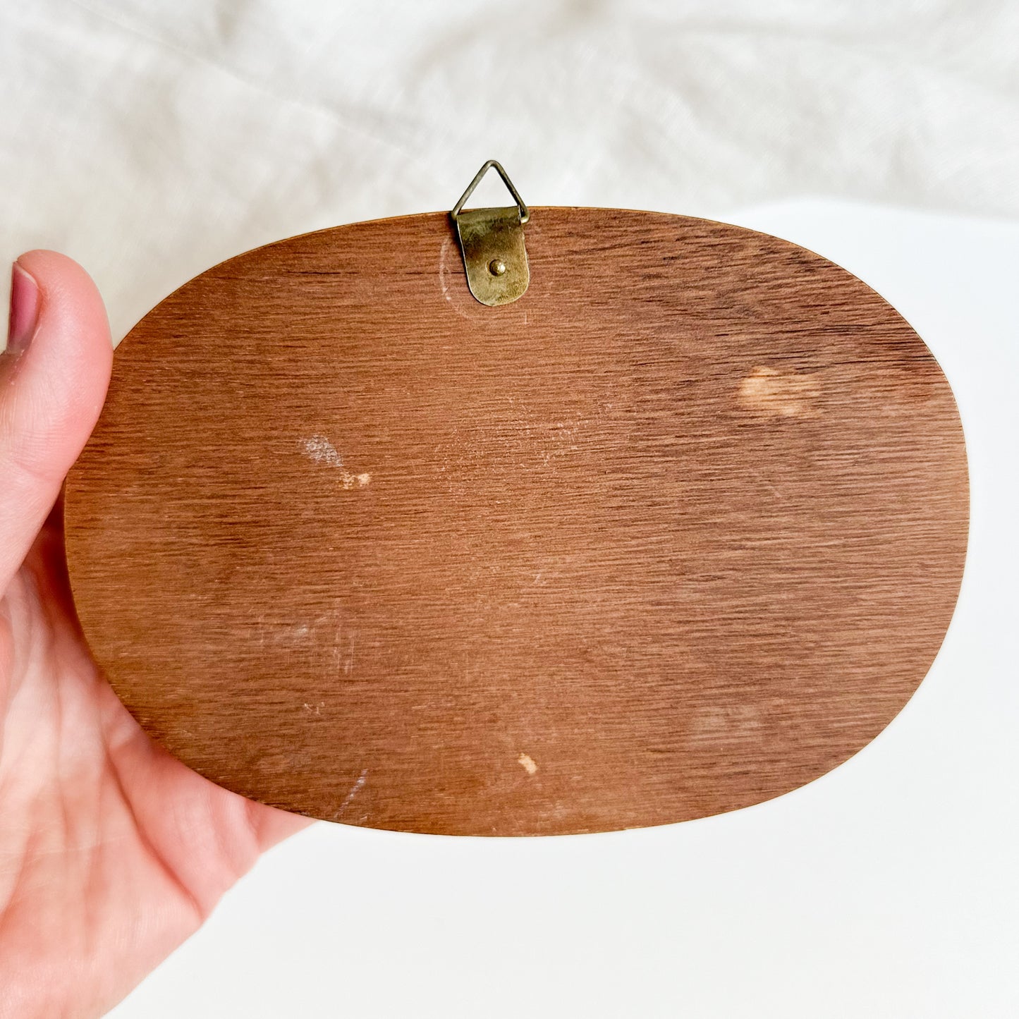 Mouse and Toadstools Wall Plaque