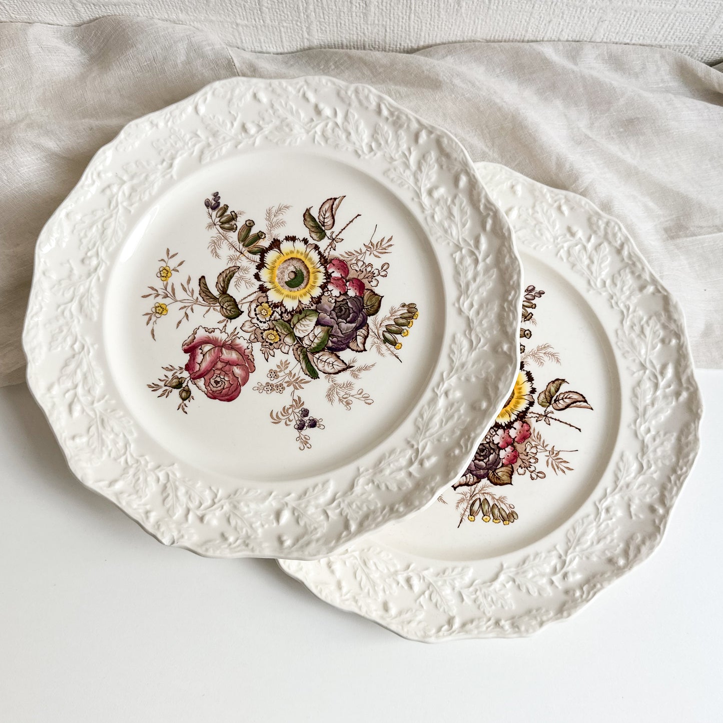 Pair of Mason’s Dinner Plates