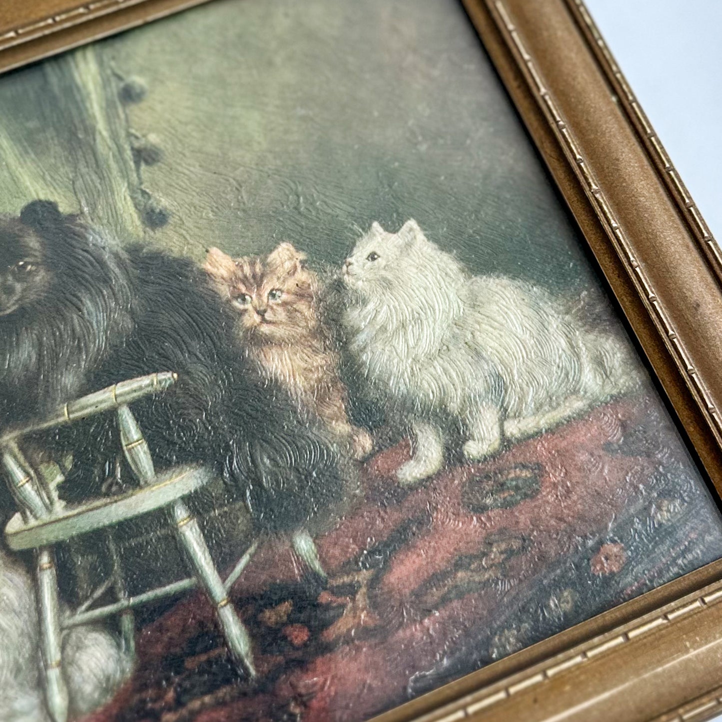 Antique Cat Print
