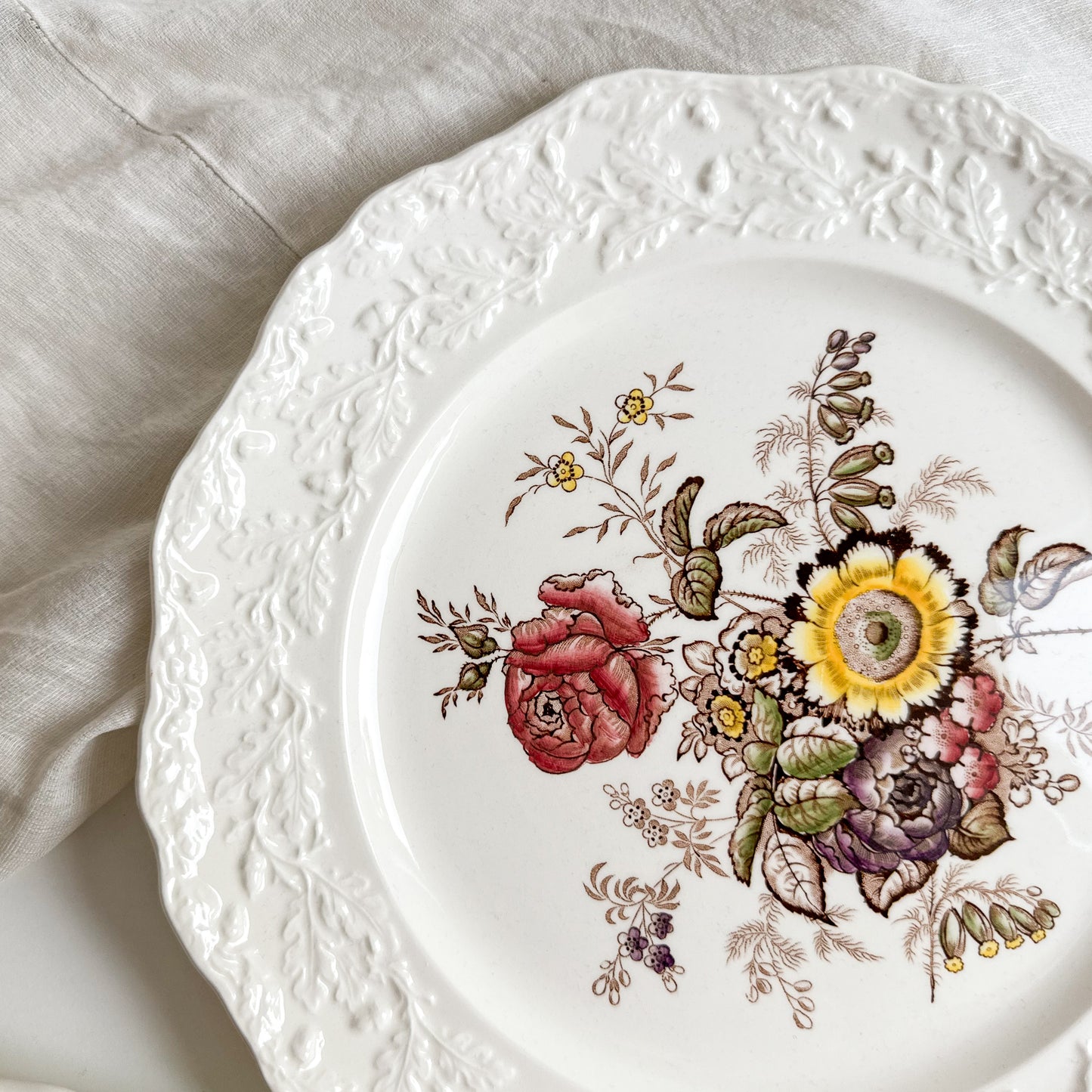 Pair of Mason’s Dinner Plates