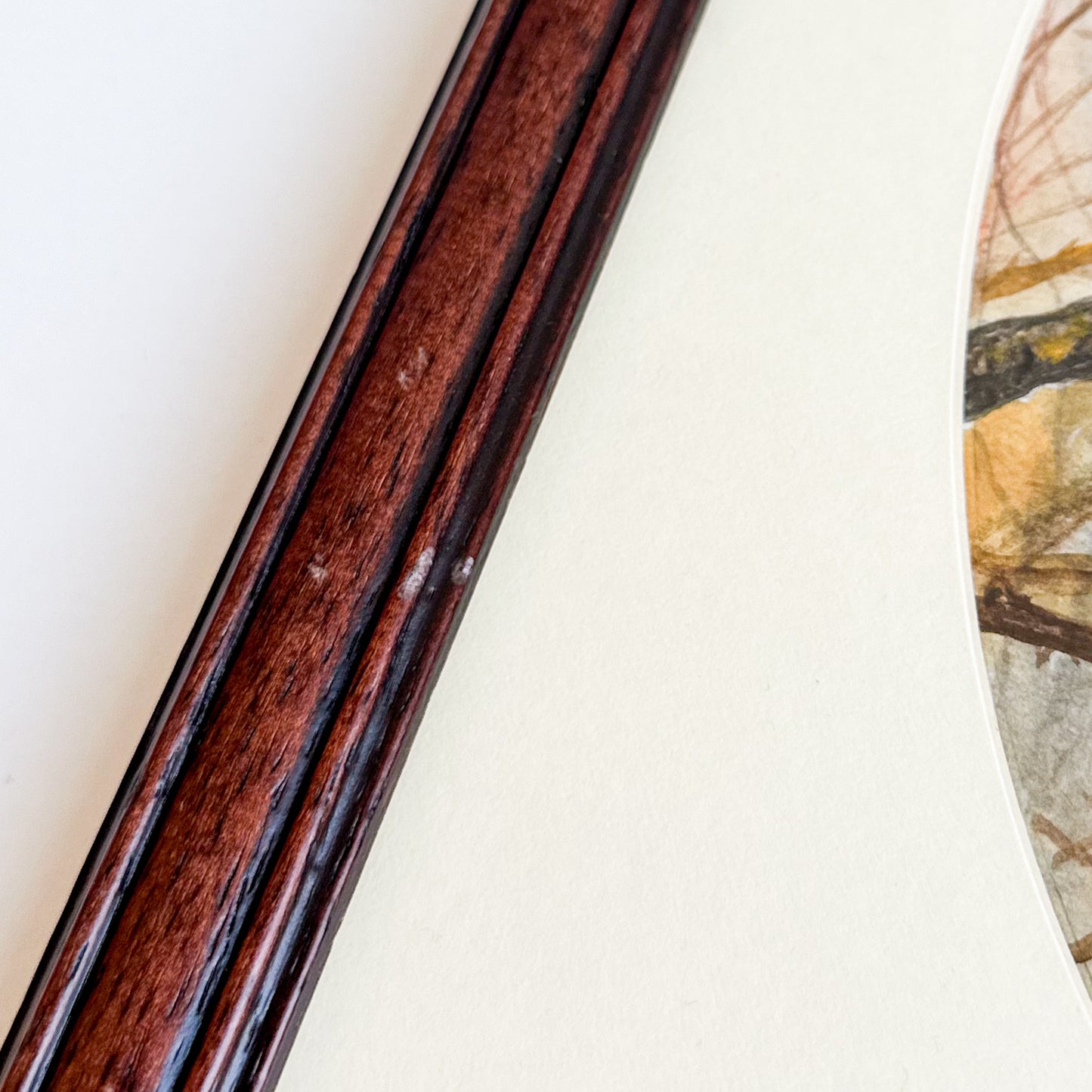 Framed Blue Tit Watercolour