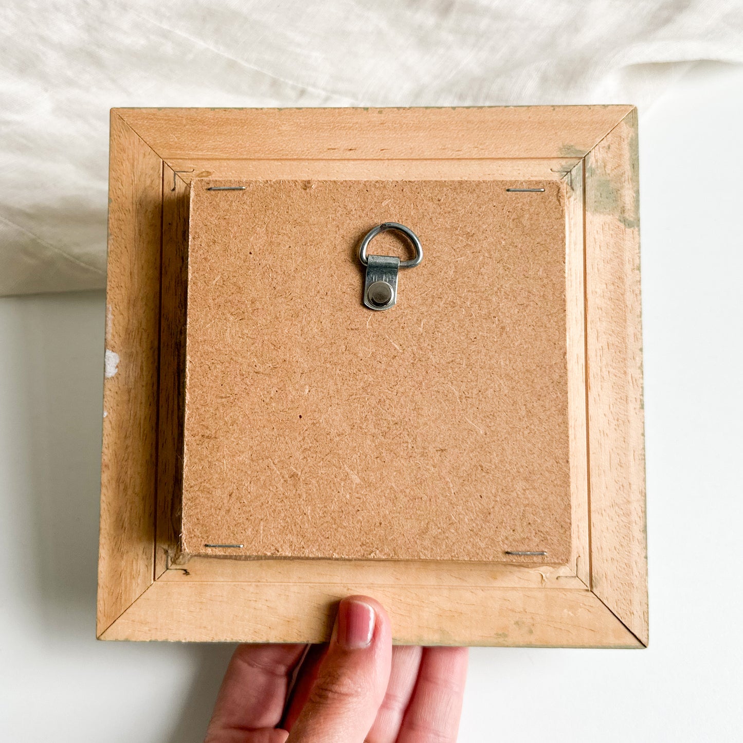 Goose / Duck Shadow Box