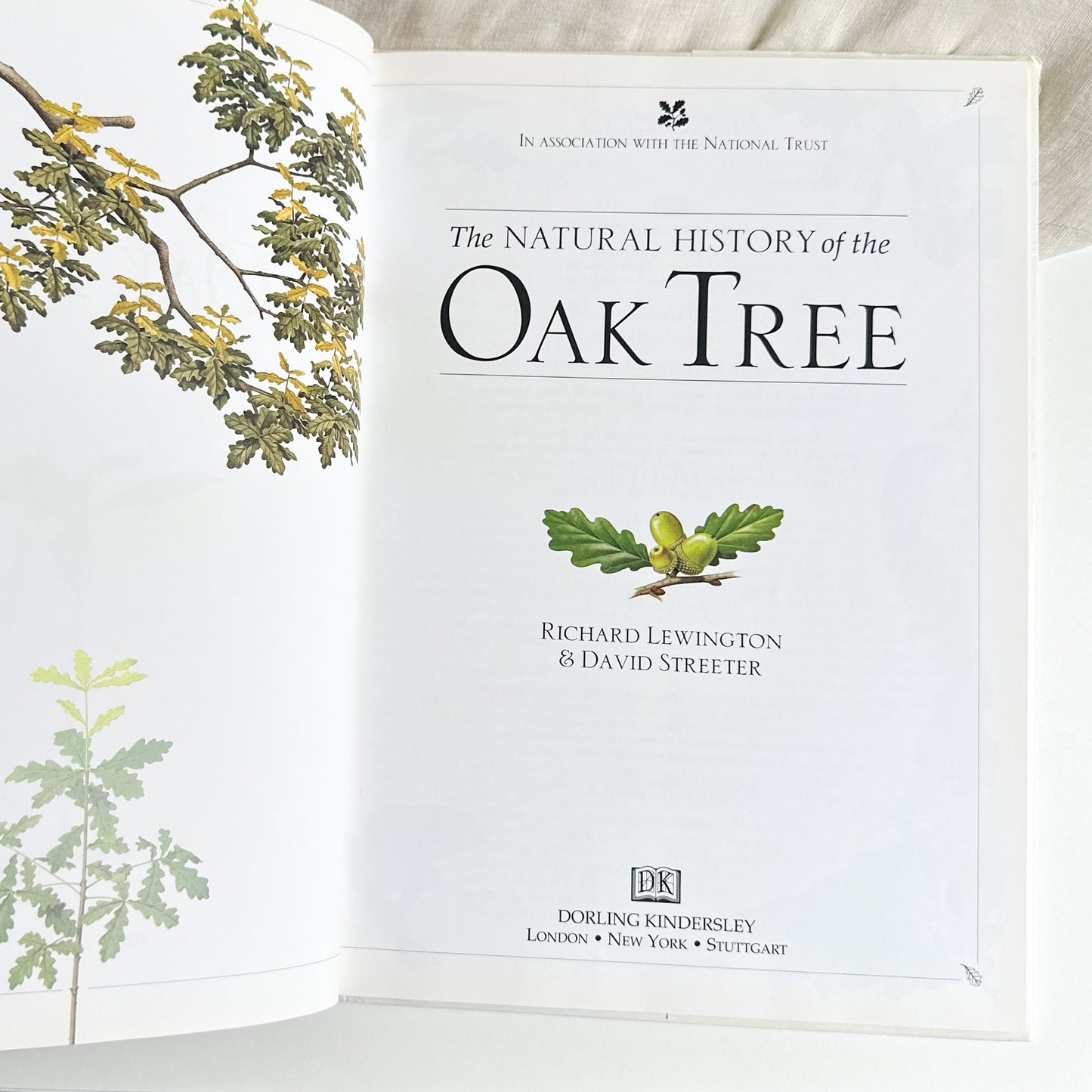 Oak Tree Book