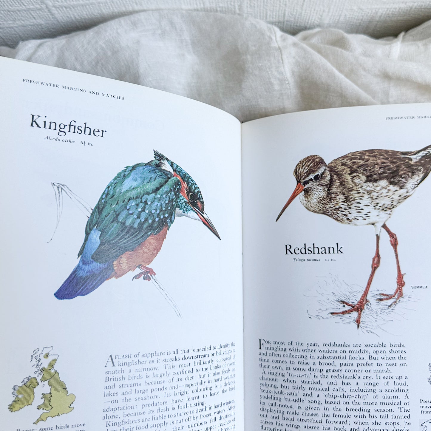 Book of British Birds