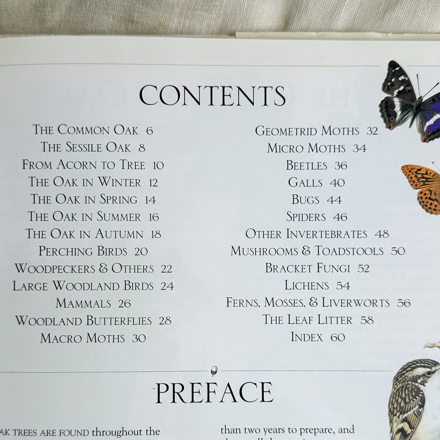Oak Tree Book