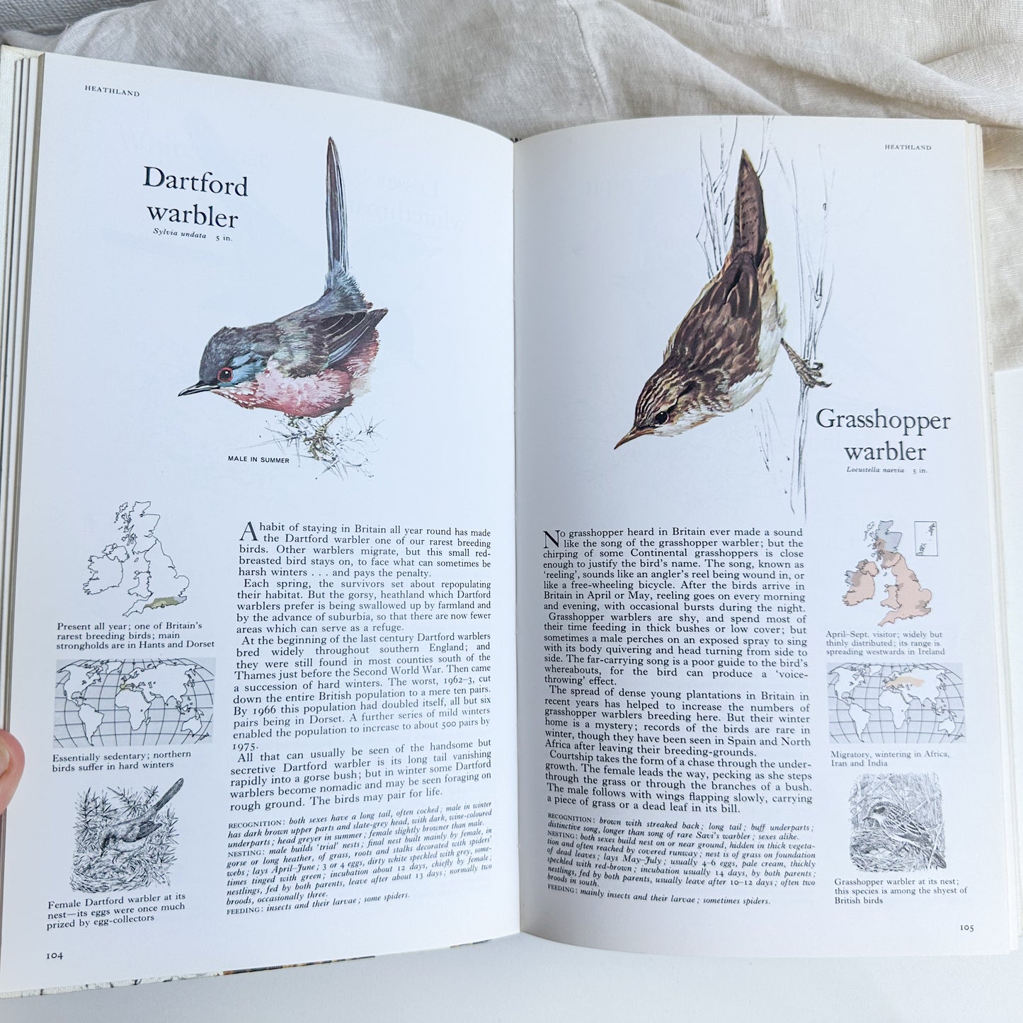 Book of British Birds