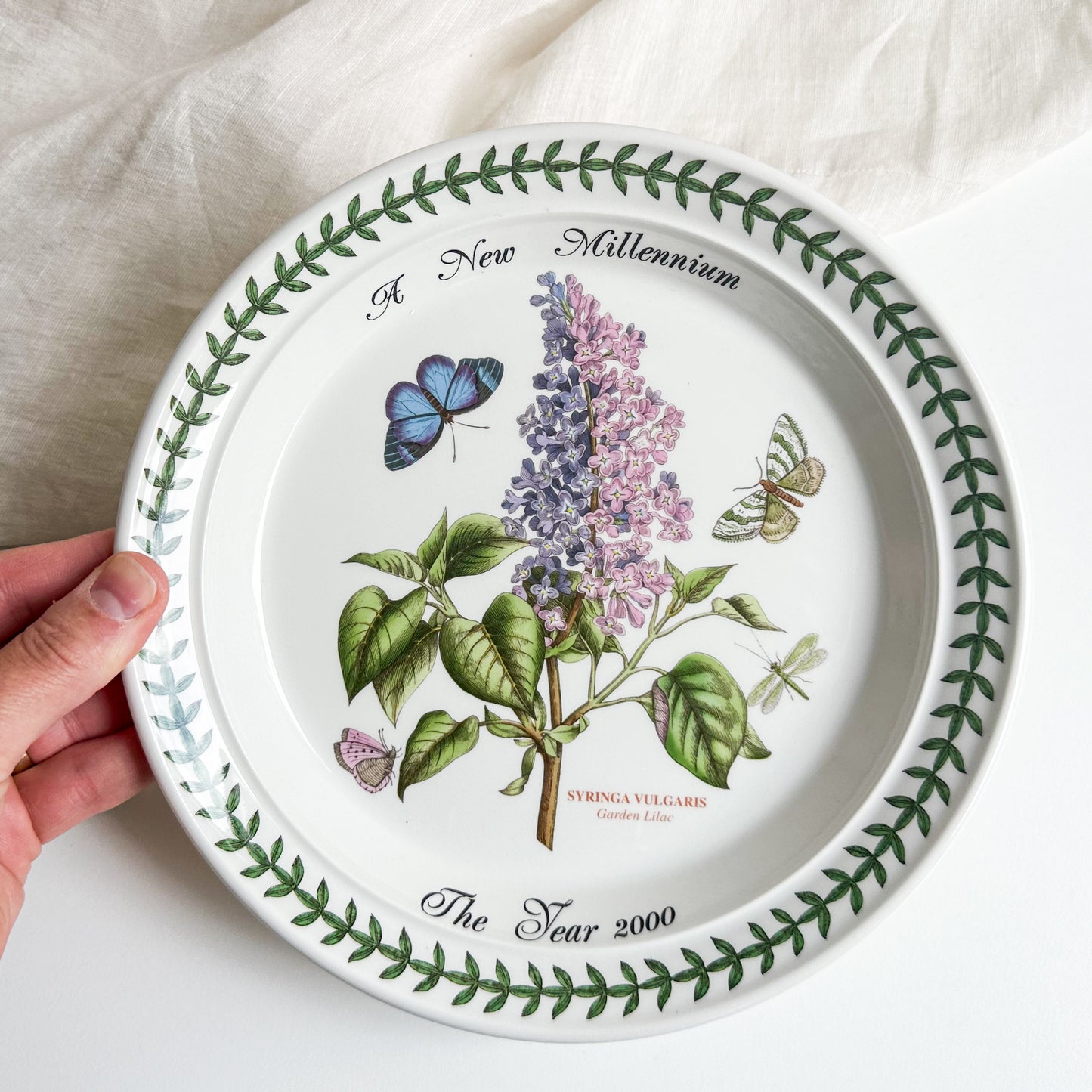 Portmeirion Plate - A New Millenium