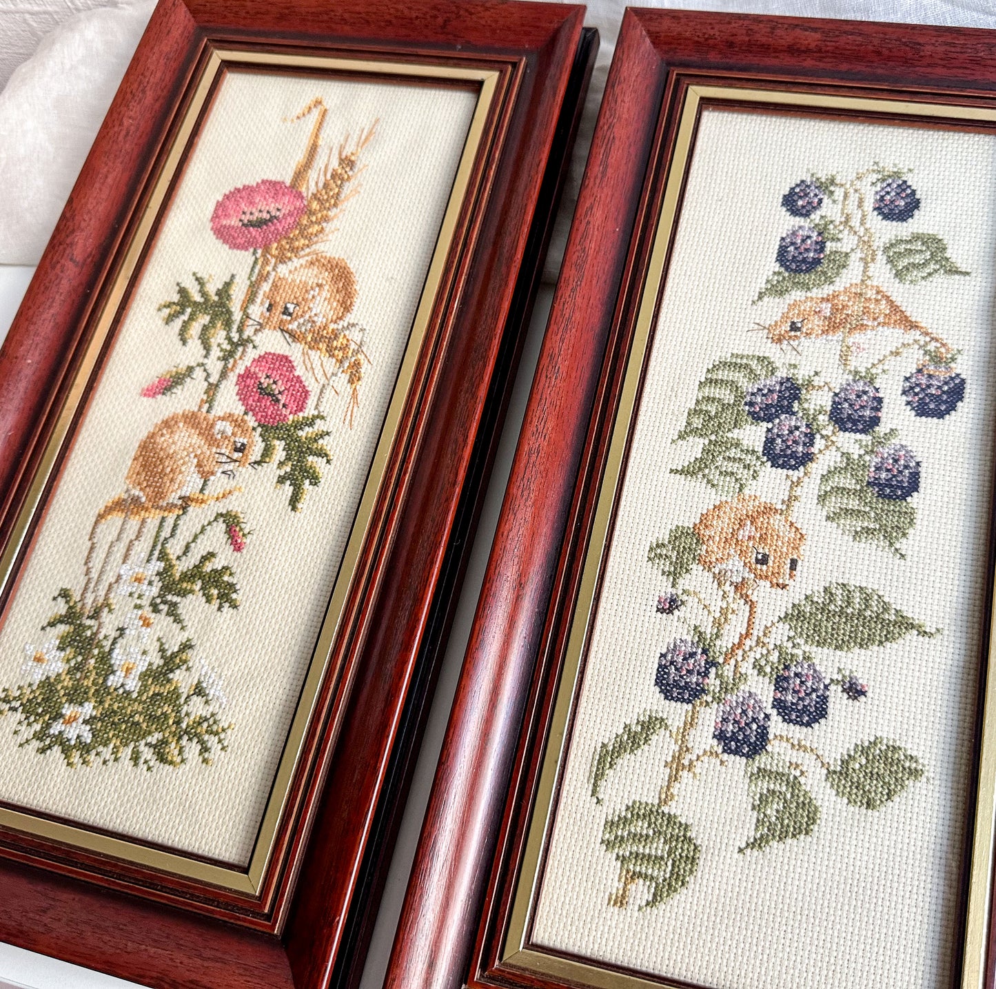 Pair of Framed Cross Stitch Pictures