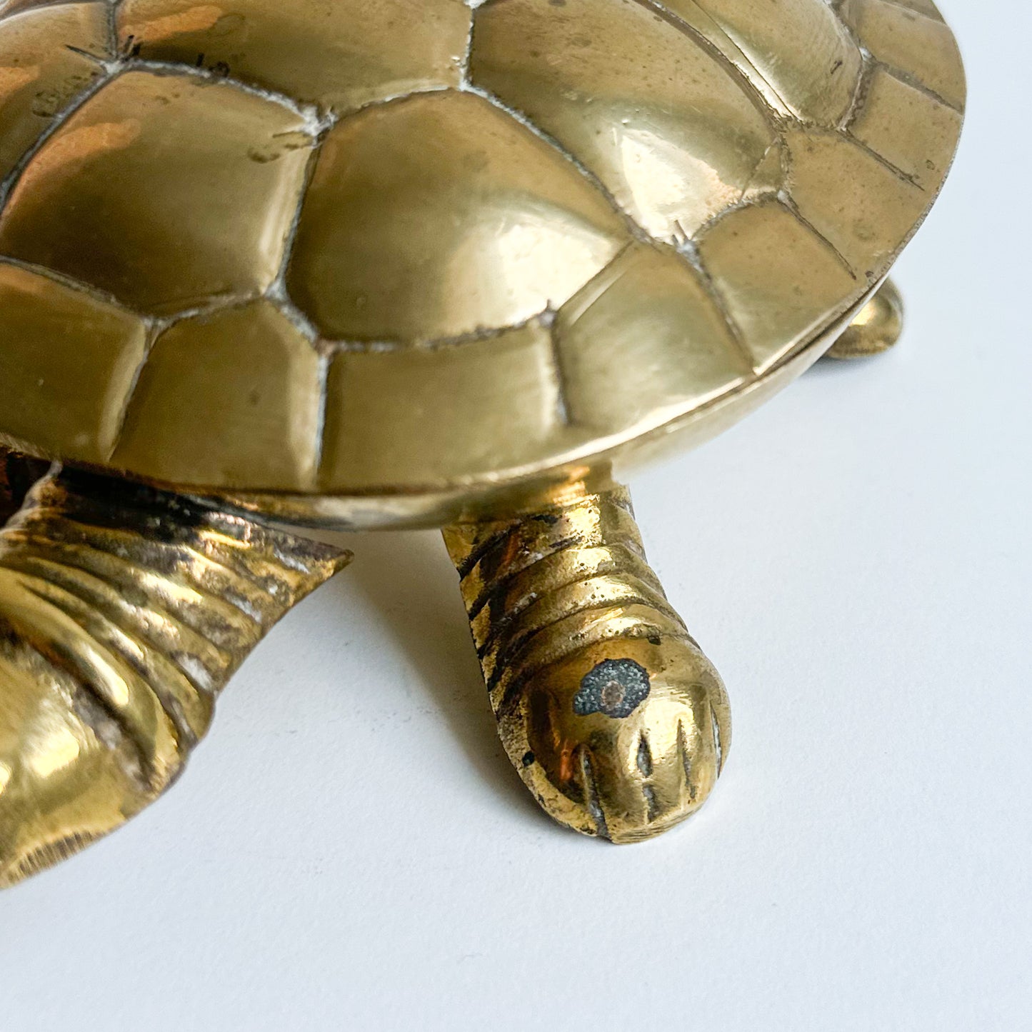 Brass Turtle Box