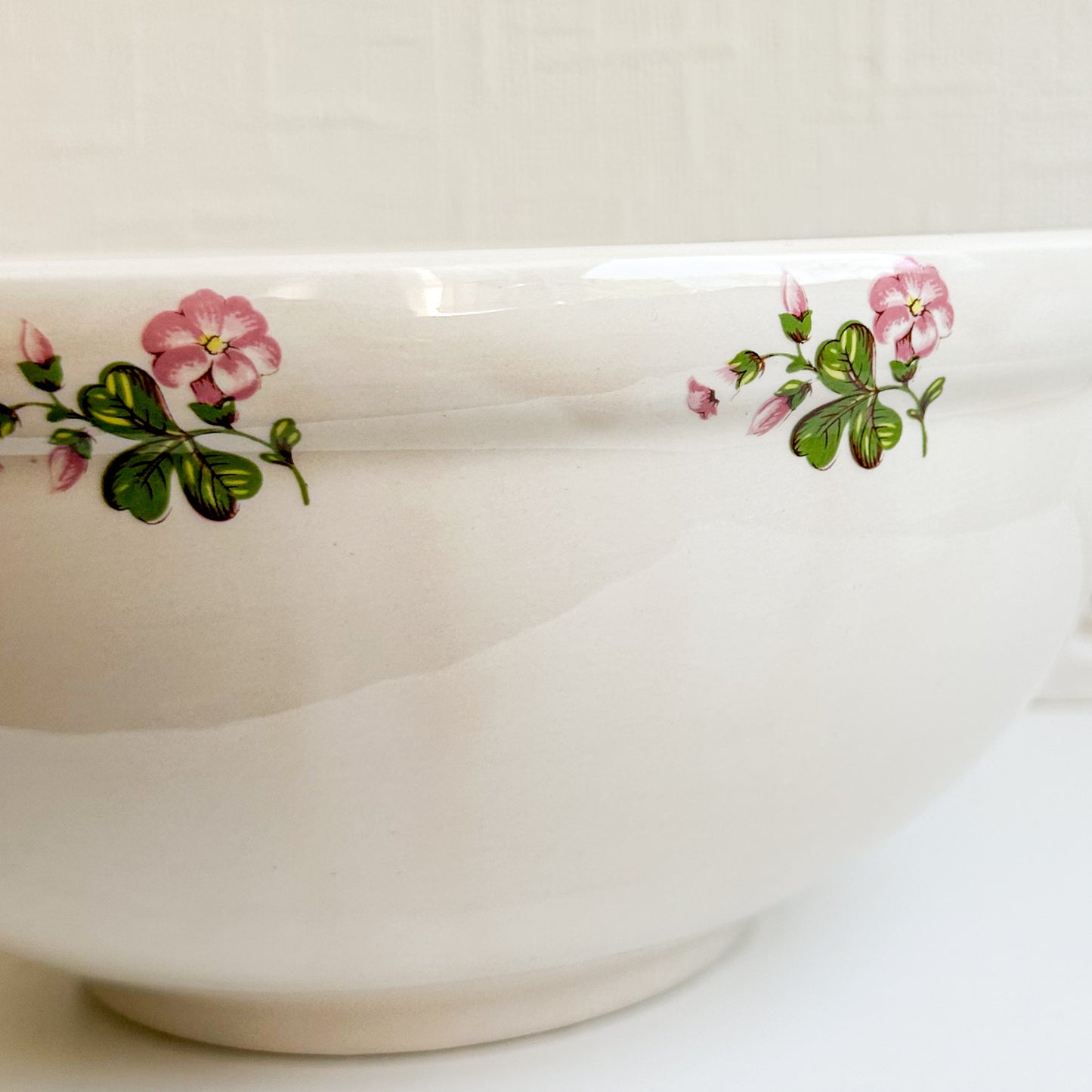 Large Portmeirion Bowl