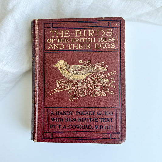 The Birds of the British Isles and Their Eggs - 1928